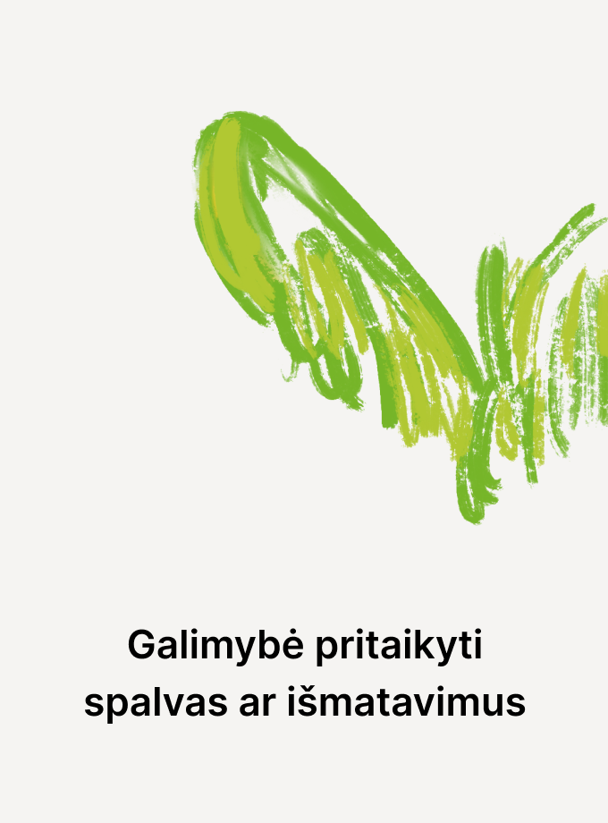 Galimybė pritaikyti spalvas ar išmatavimus