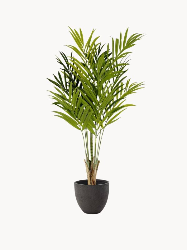 Dirbtinis augalas Palmera